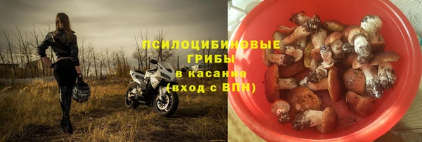 гидра Алексеевка