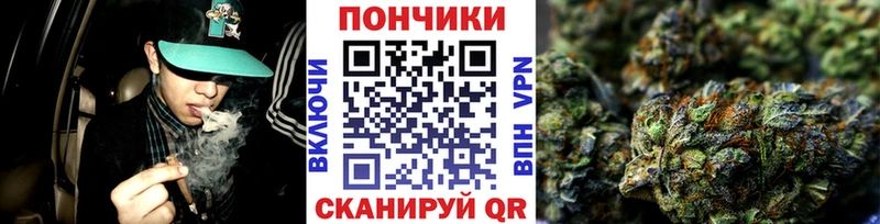 Бошки марихуана планчик  Богучар 